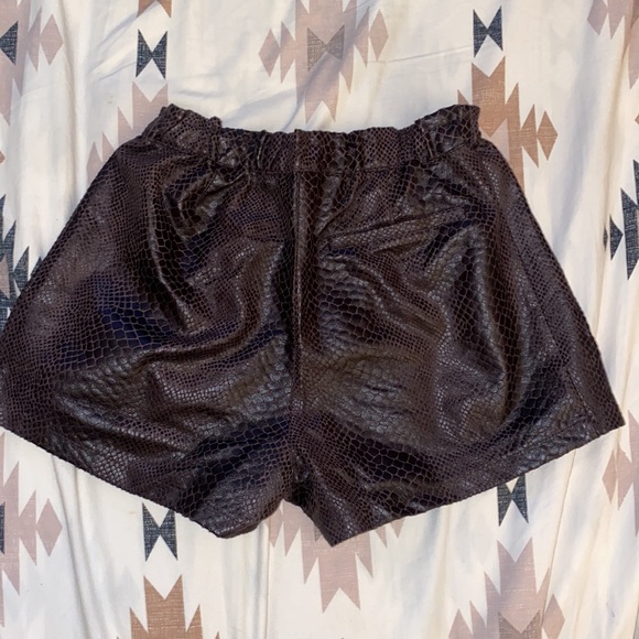 Olivaceous shorts - Picture 6 of 7